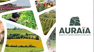 EN FUSION – 9.000 agriculteurs et 1.915 collaborateurs font Auraïa